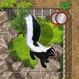 Couverture de Zooloretto - Extension "Mouffette / Skunk / Stinktier"