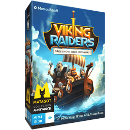 Couverture de Viking Raiders