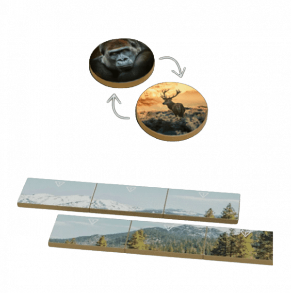 Boîte du jeu : Earth : Règne Animal - KS Goodies