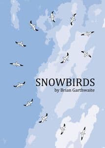 Boîte du jeu : Snowbirds