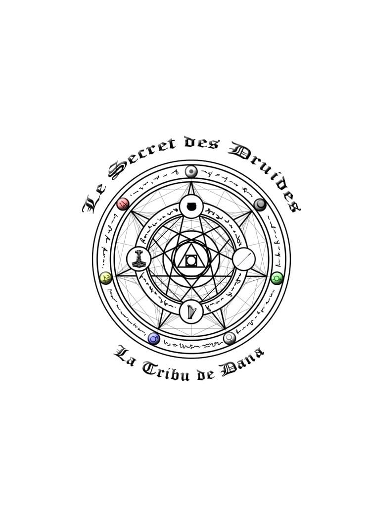 Boîte du jeu : Le Secret des Druides : La tribu de Dana.