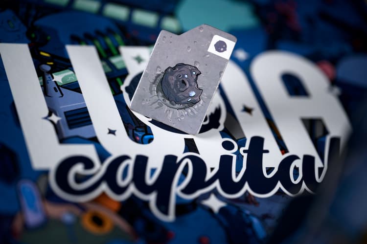 Boîte du jeu : Luna Capital